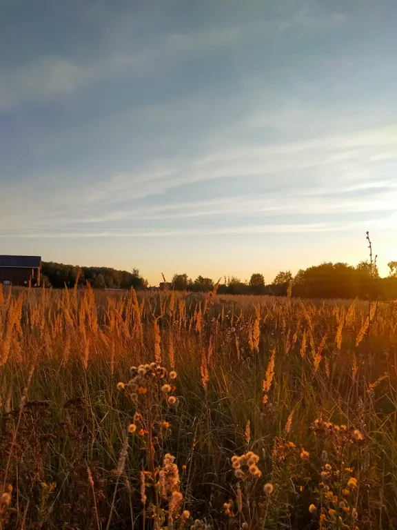 Домик Сказка