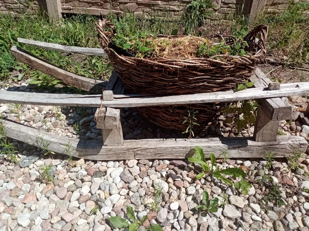 Усадьба в Беловежской Пуще Феникс