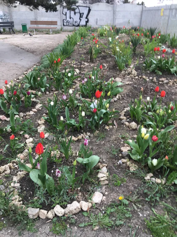 Квартира 1-комнатная Квартира — Севастополь