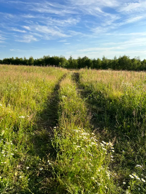 Атмосферный Дом с Мезонином в стиле чеховской эпохи