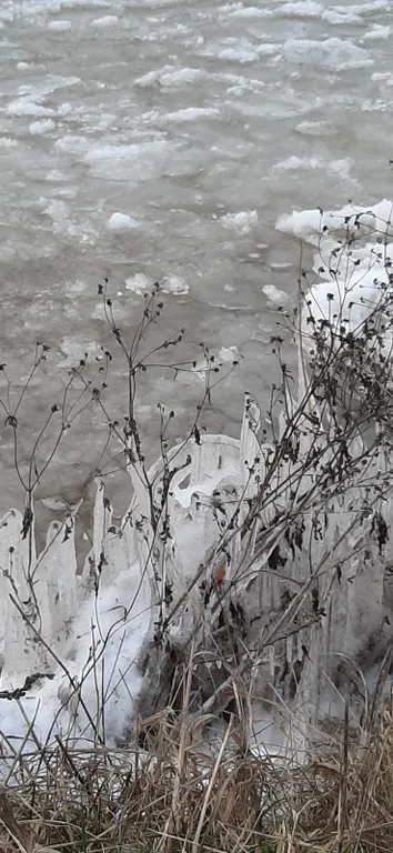 Усадьба Царское село