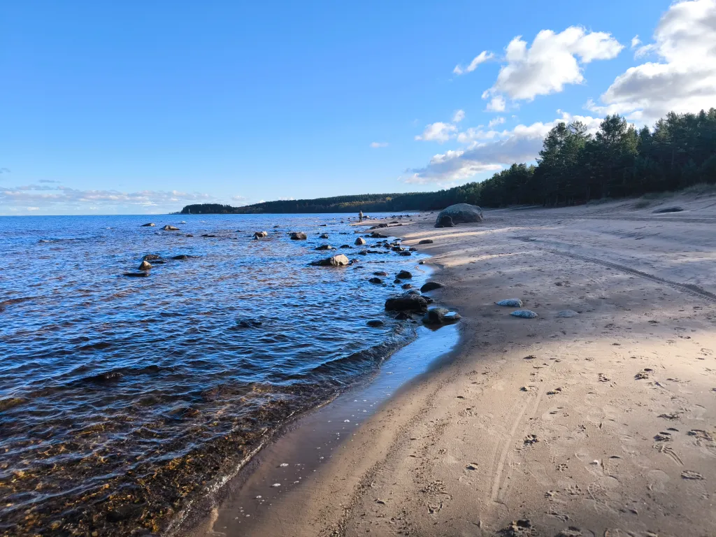 Новый, просторный, комфортный дом