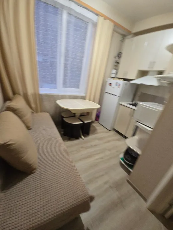 Квартира Уютная 1-комнатная квартира с отдельной кухней — Сириус