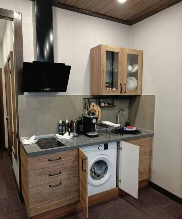 Уютный апартамент с видом на озеро