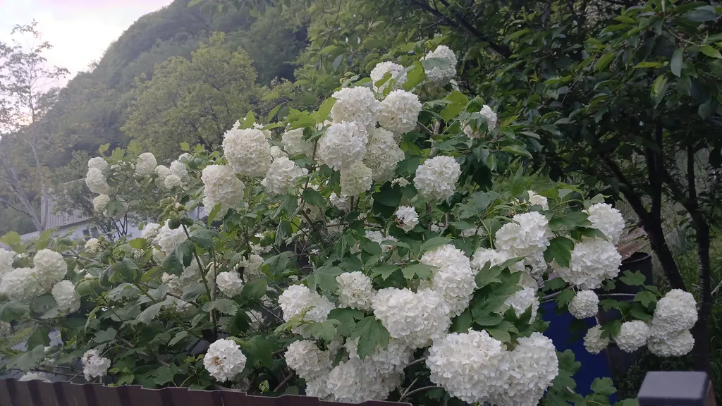 Квартира Квартира Домик в раю — Зубова Щель