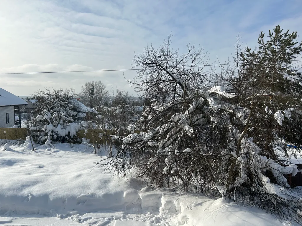 Домик рядом Сорочаны, Волен