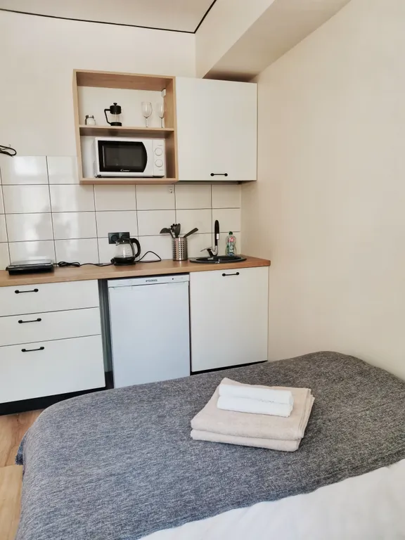 Двухместная студия Черника с собственной ванной комнатой