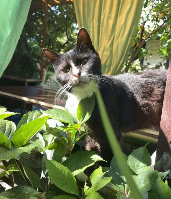 Апартамент Beige с видом на горы