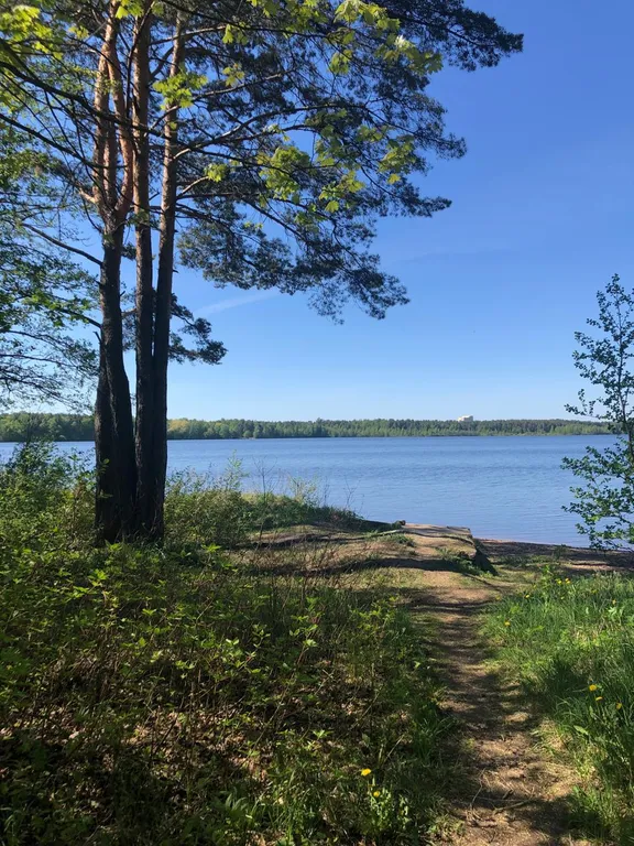 Однокомнатная светлая квартира