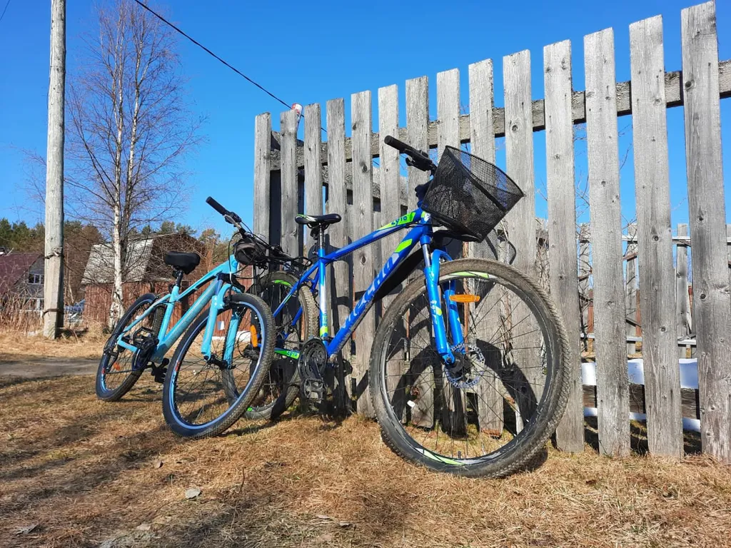 Уединенный комфортный дом-баня в сосновом бору