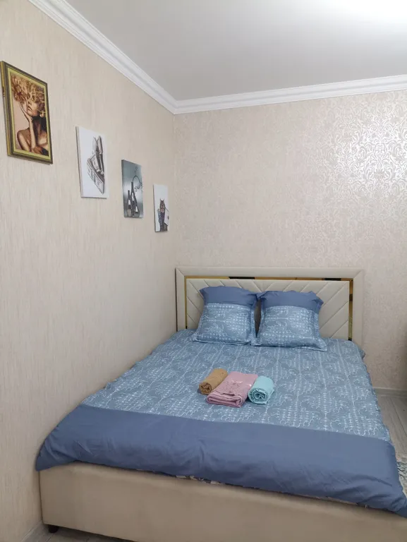 Квартира Апартаменты с видом на горы — аренда посуточно в Алматы