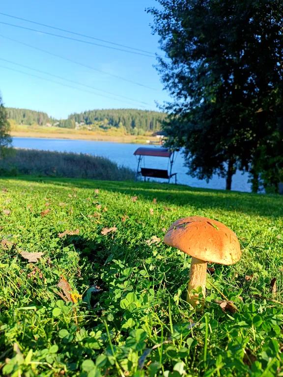 Уютный теплый дом с видом на озеро Passo 3