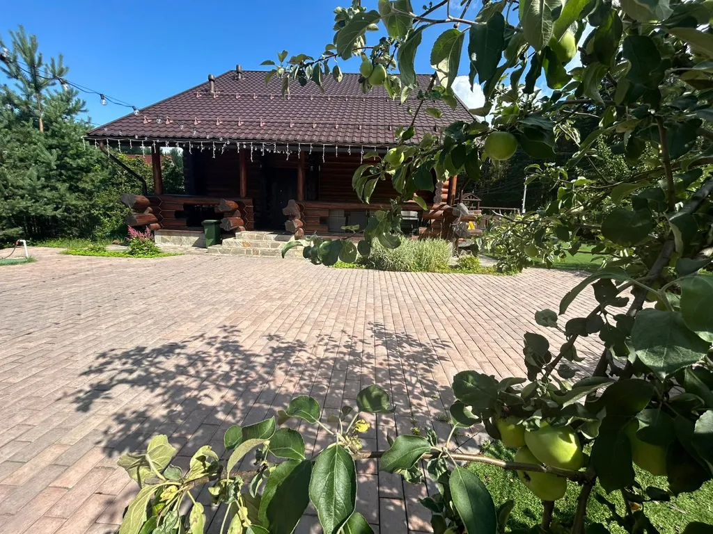 Загородный дом в окружении леса Grovehause