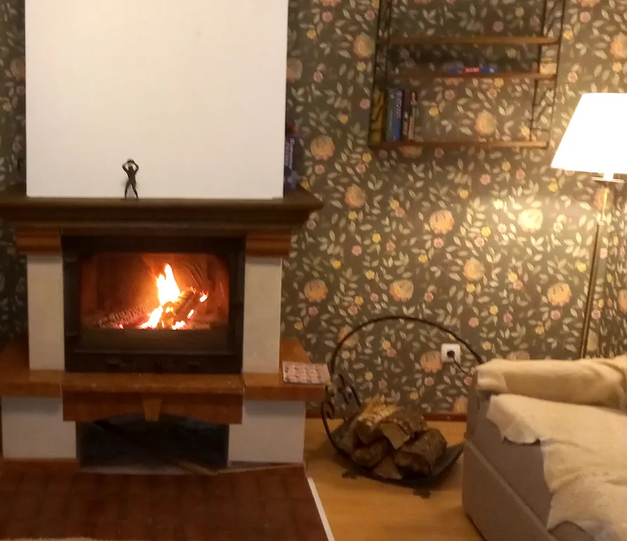 Дом с камином в лесу возле залива