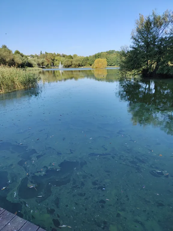 Квартира Уютная, светлая квартира — Калининград