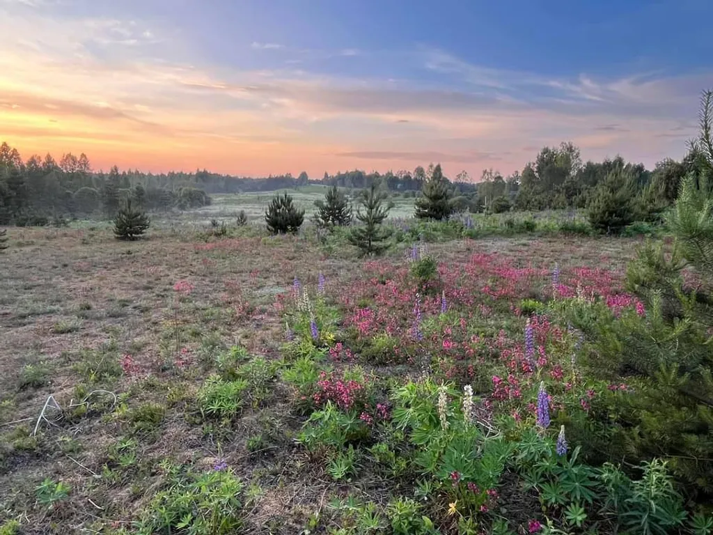 Уникальный арендный объект Кибитка на холме