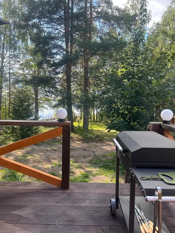 Уютный дом с прекрасным видом на лес и озеро