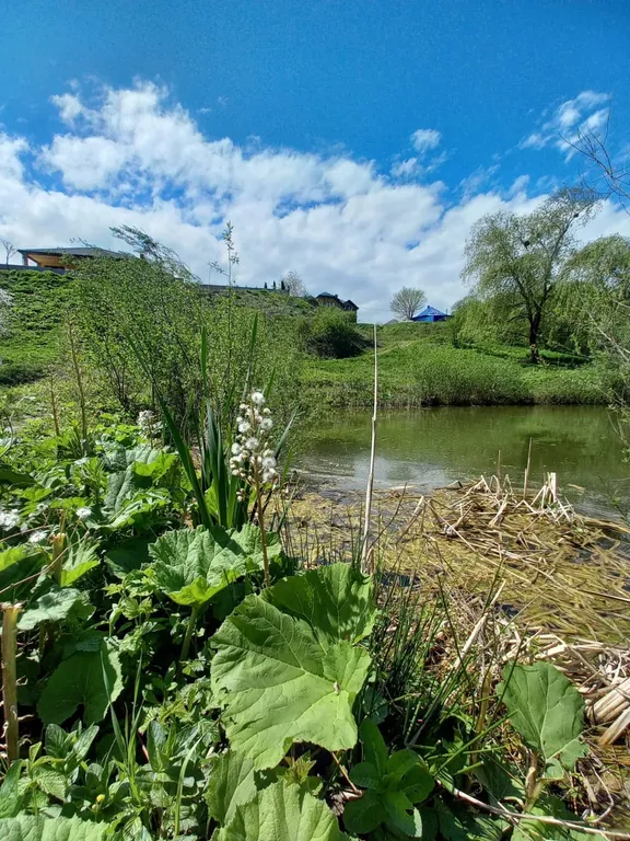 Пятиместный улучшенный номер