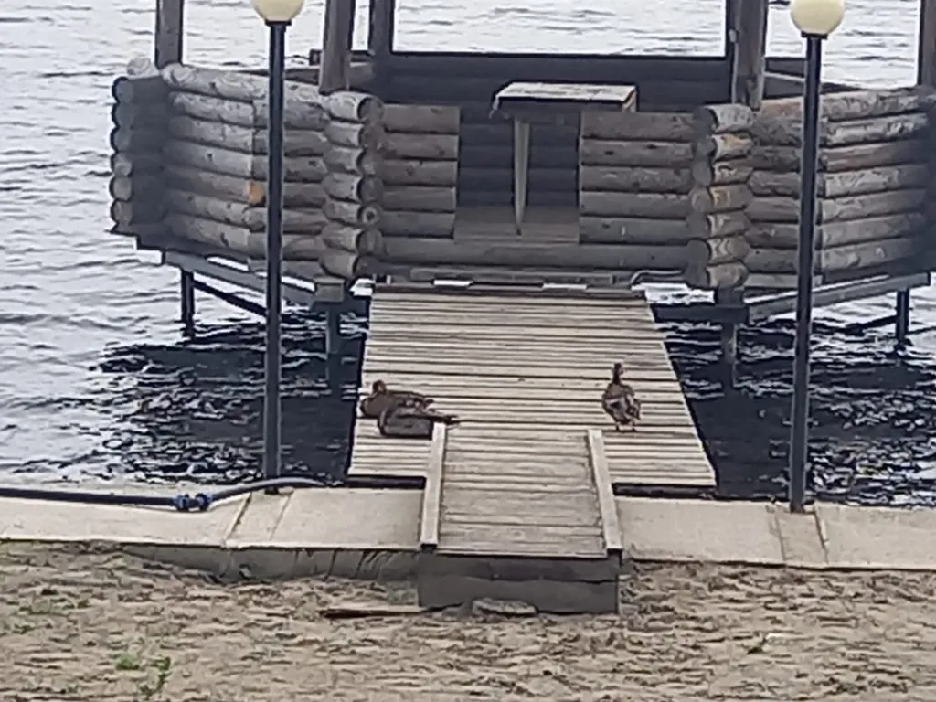 Дом на берегу озера без соседей