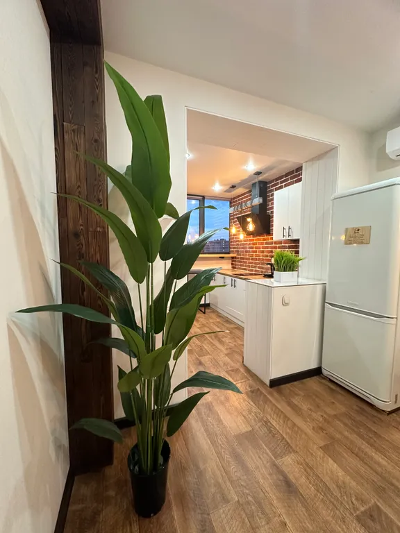 Апартаменты с красивым видом