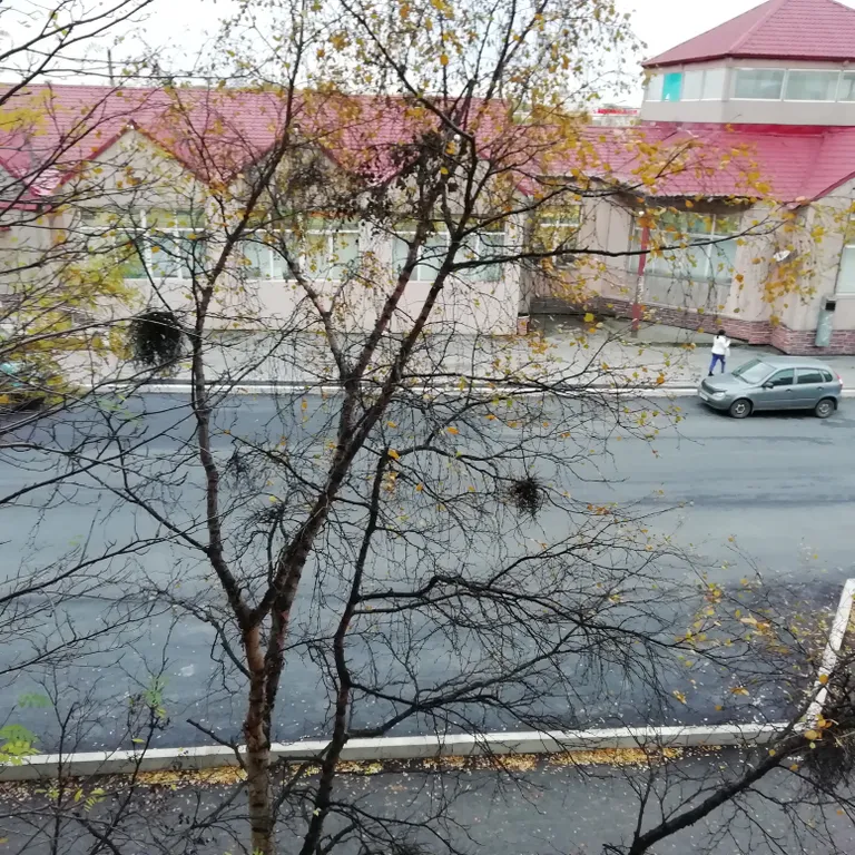 Квартира на Семеновском озере