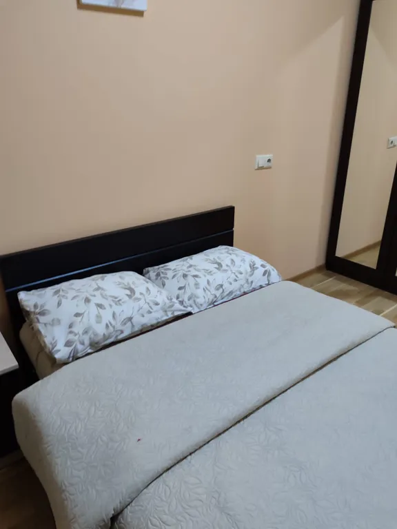 Комфортная двуспальная квартира в бизнес-центре