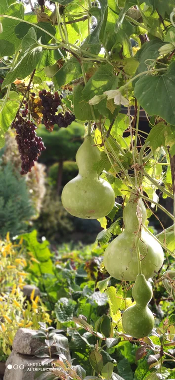 Небольшая дружелюбная студия с патио