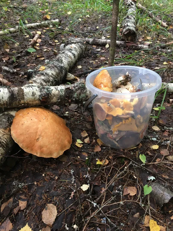 Дом на берегу озера