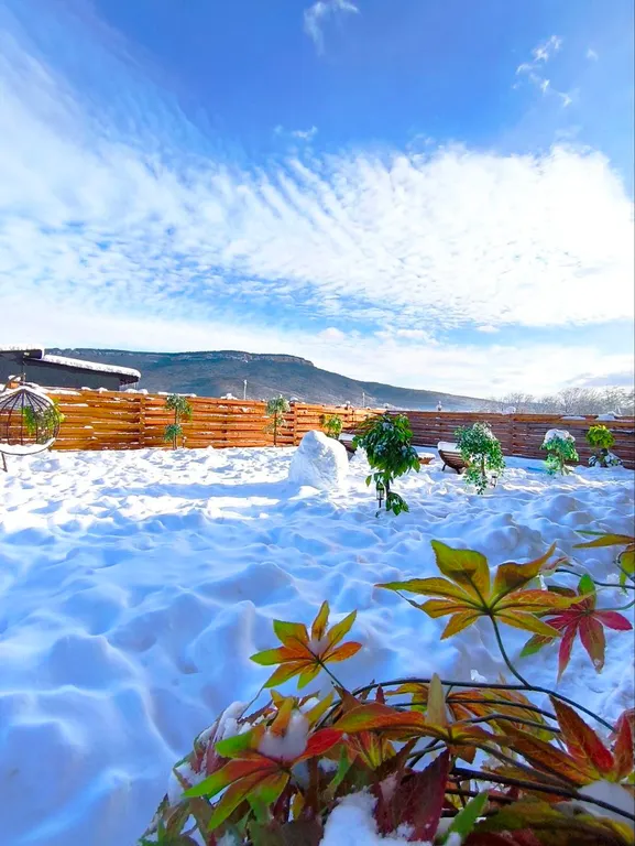 2-комнатный Дом