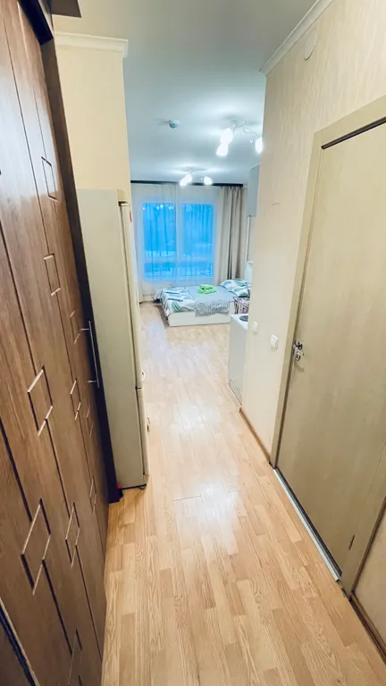 Уютные апартаменты