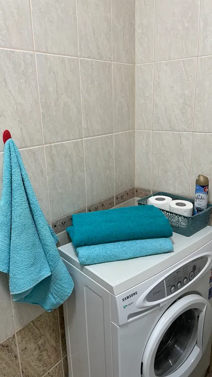 Уютная однокомнатная квартира в Деме