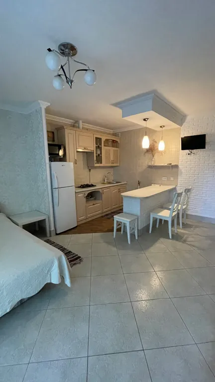 Студия со всеми удобствами и кухней