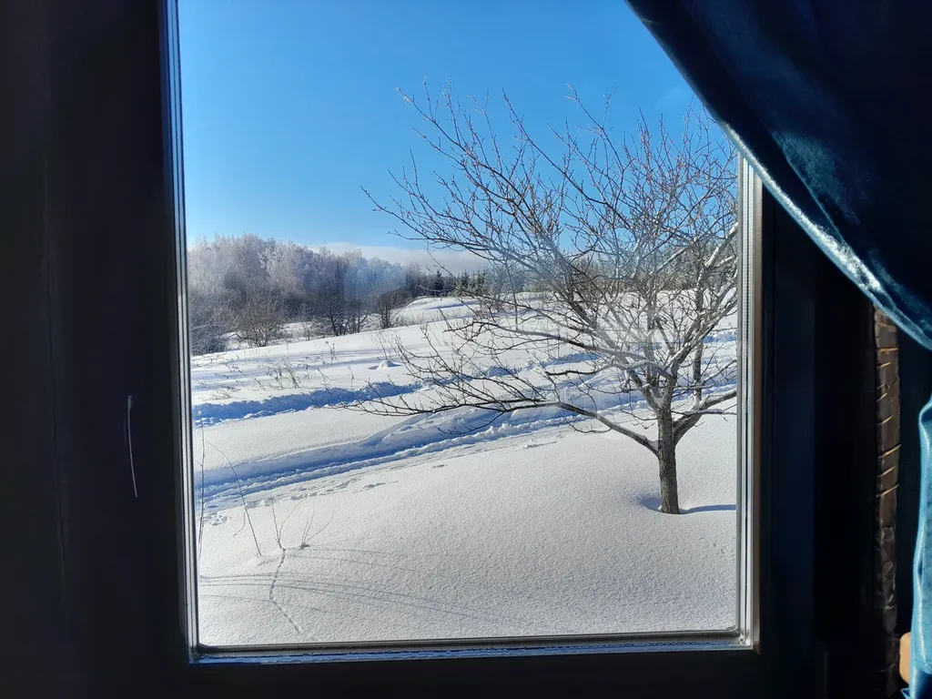 Теплый деревянный дом у воды