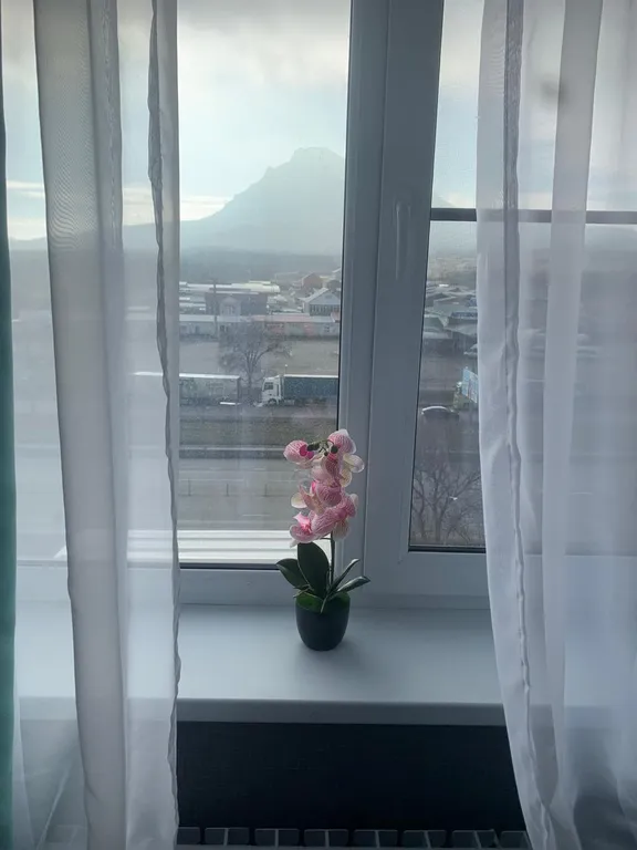 Уютная квартира рядом с аэропортом