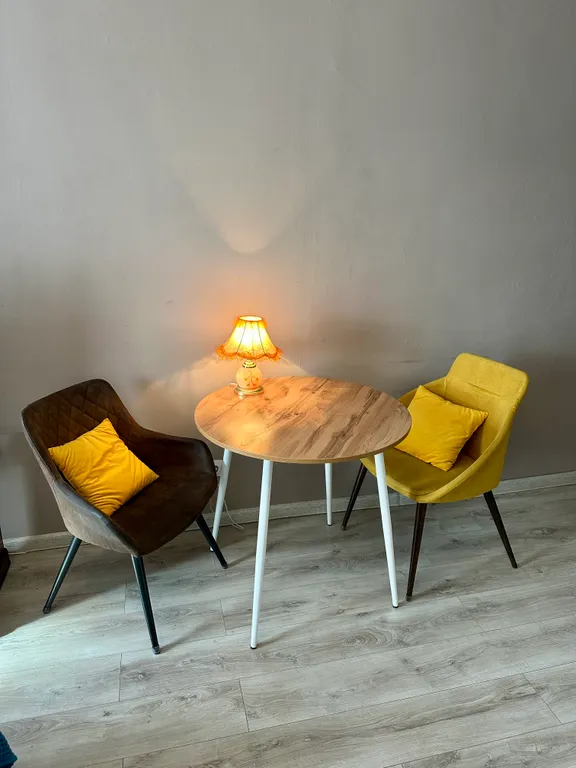 Квартира студия с видом на Неву