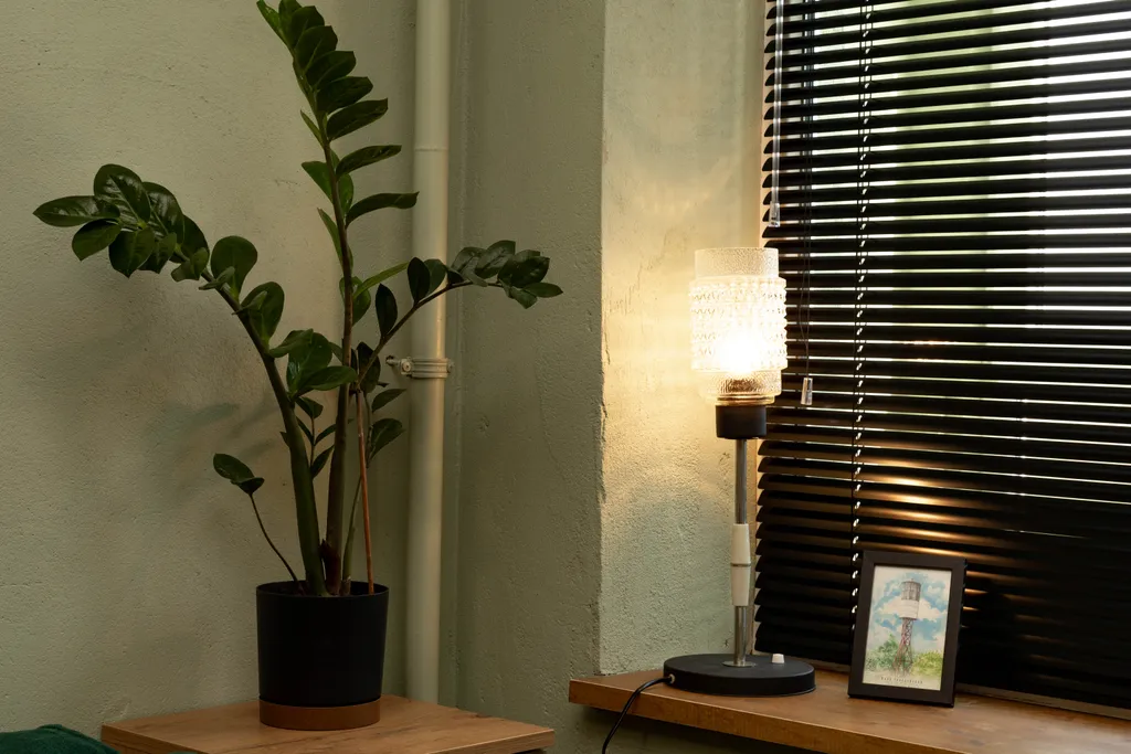 Квартира 1-комнатная Квартира — Пионерский