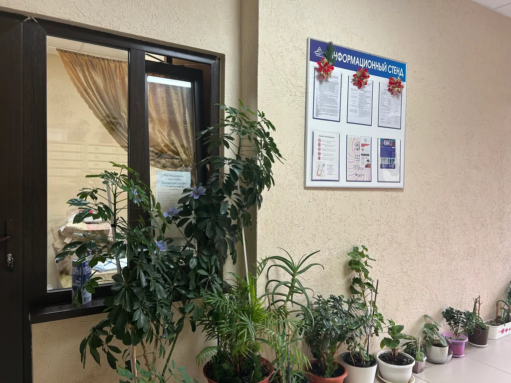 Апартаменты с видом на горы эсто-садок