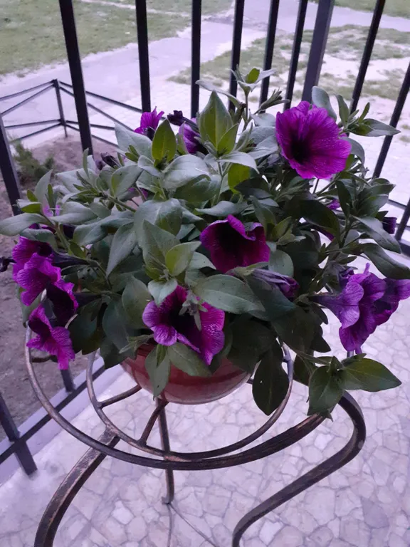 Уютные аппартаменты в центре города с отдельным входом