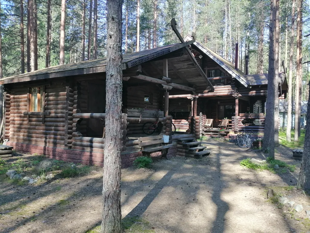 Дом Викинга