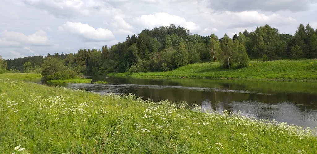 Коттедж Загородный дом у реки в лесу — Горки