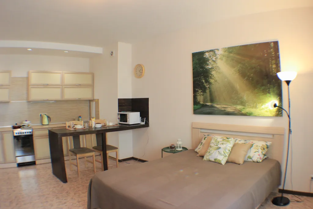 Уютная студия рядом с Политехом