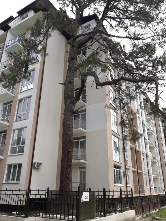 Квартира 1-комнатная Квартира — Сириус