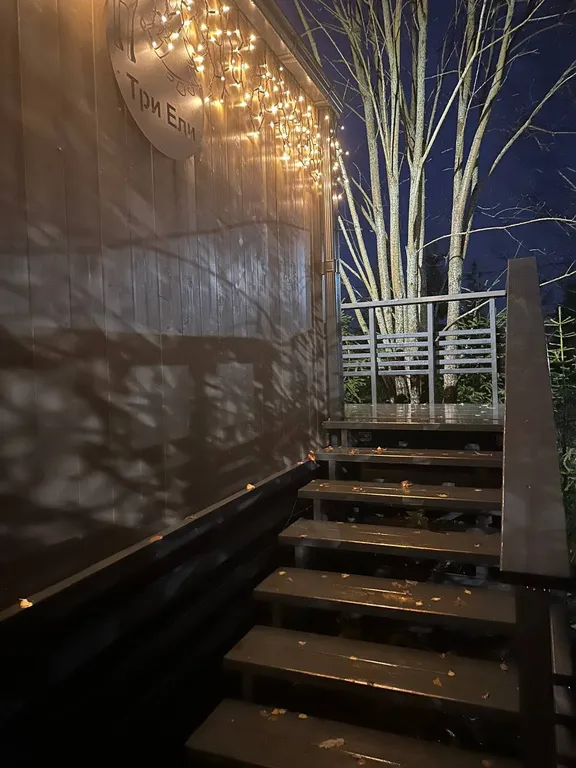 Дом Вапити - уютный коттедж на отдельном лесном участке