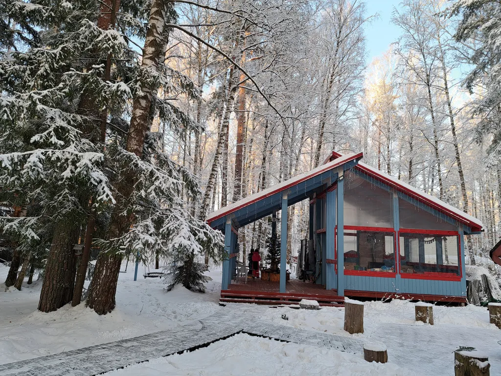 Барнхаус в лесу с голубой гостиной