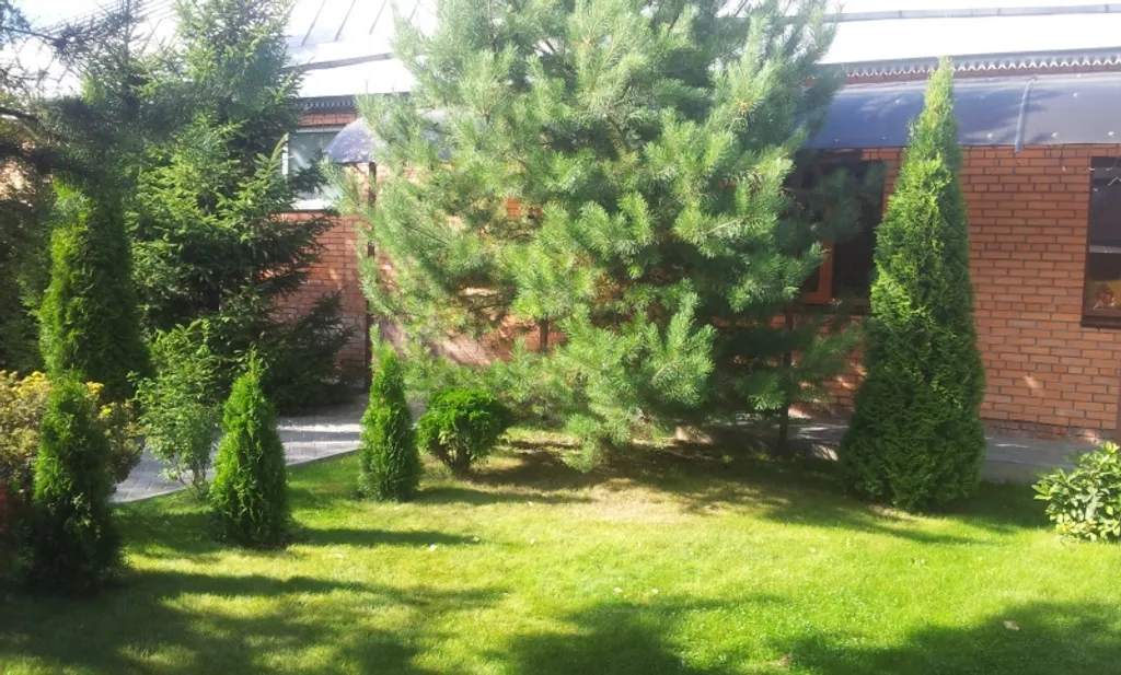 Коттедж Коттедж с большим бассейном — Черное