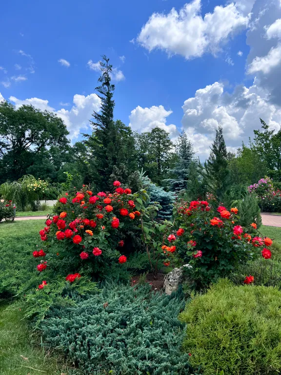 Квартира с великолепным видом в ЖК Грин Парк