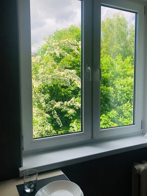 Уютные апартаменты в историческом центре