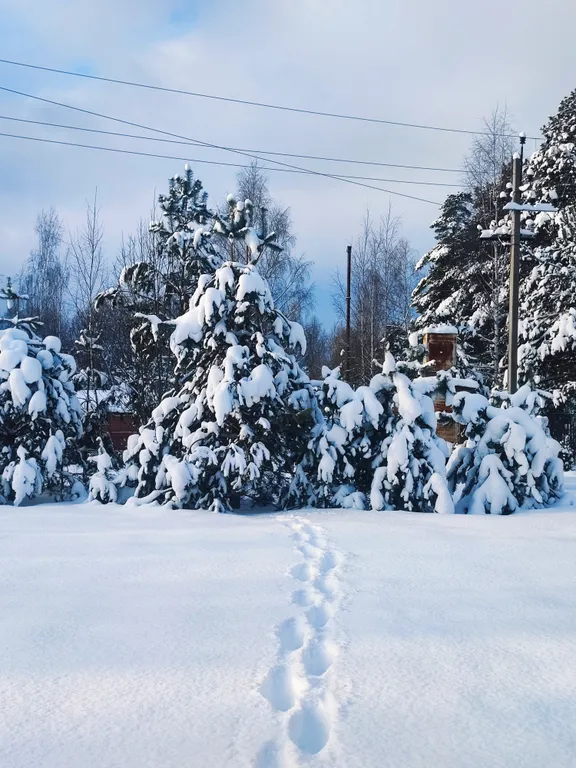 Гостевой дом в Подмосковье по Дмитровскому ш. Дом на берегу р.Волга