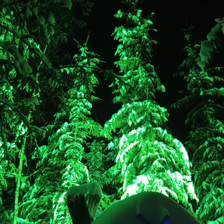 Коттедж Гостевой дом шале а-фрейм в ёлках с пятнистыми оленями и русской баней — Можайск