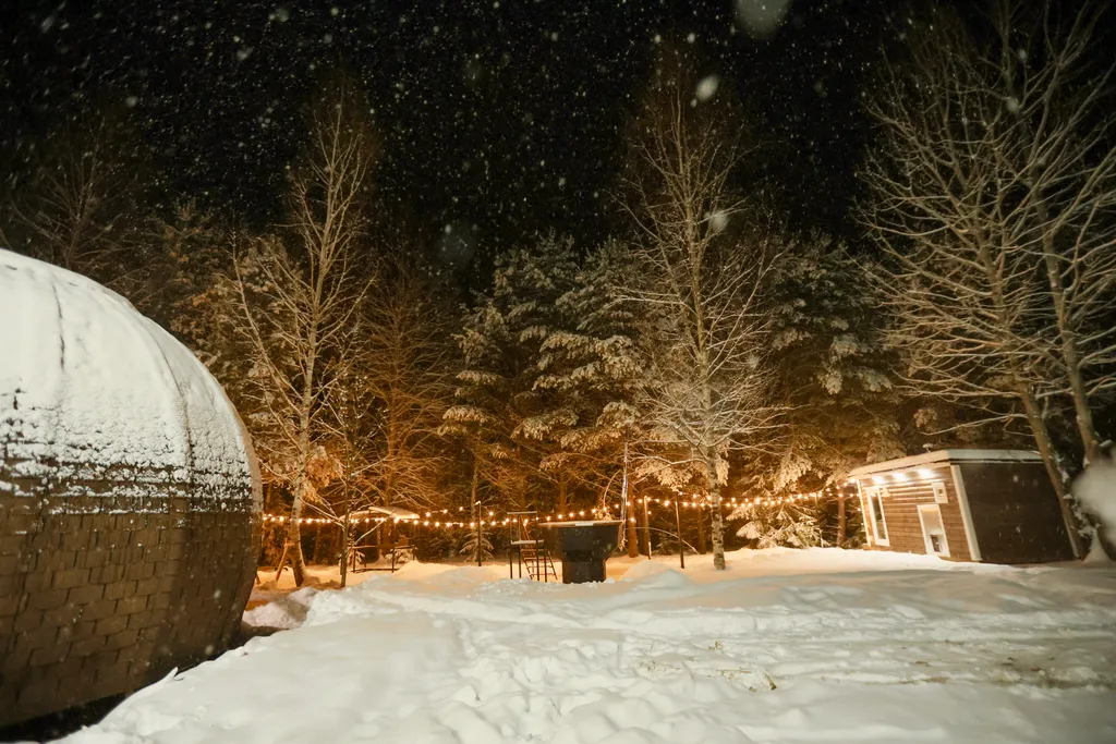 Уникальный купольный дом среди хвойного леса